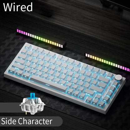AJAZZ AK820 Wired Mechanical Keyboard, Side Engraved Keycap Keyboard, Full Key Hot Swap Gasket Structure Keyboard, Gaming Keyboard for Gaming