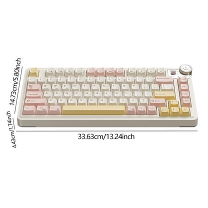 MK75 Wireless Keyboard, 81 Key Gasket Structure Keyboard with RGB Backlight, Universal USB Rechargeable Ergonomic Keyboard for Tablet & Laptop, Lighted Mechanical Keyboard, Gaming Accessories, Creamy Keyboard, Colorful Design Keyboard