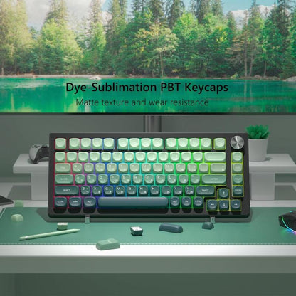 MOA Keycaps , PBT Keycaps 60 75 100 Percent,Cute Dye-Sublimation 134 Custom Keyboard Key Cap for Cherry Gateron MX Switches Mechanical Keyboards, Gradient Green